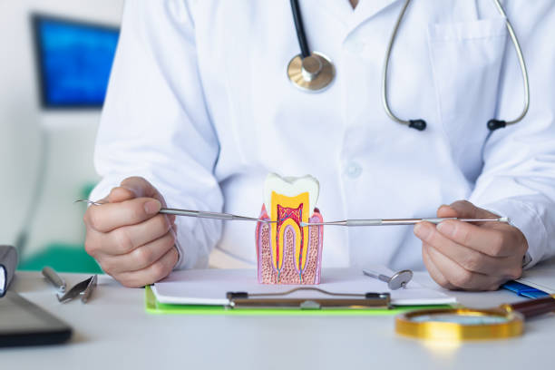 Best Orthodontic Emergency Dentist in Oakton, VA